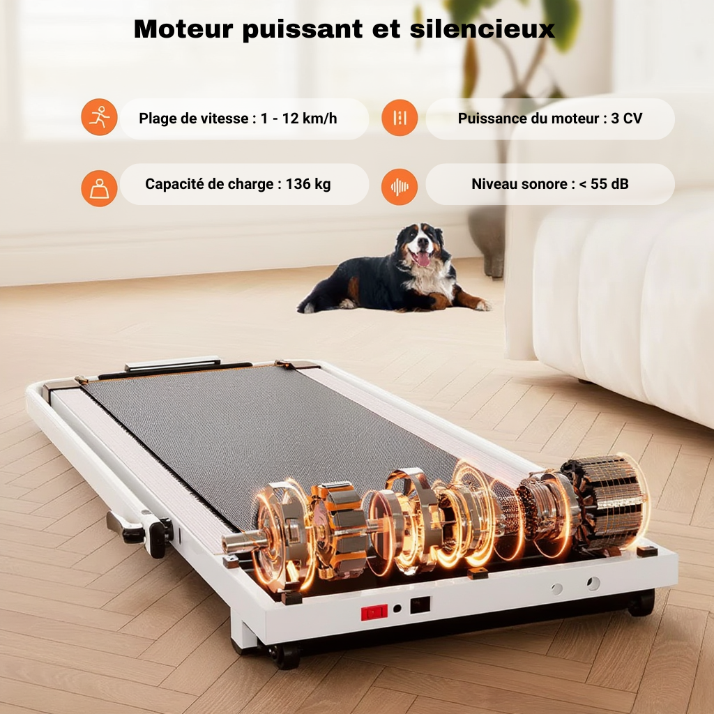 Tapis de Marche/Course Pliable 2 en 1 - 12 km/h | L'atelier Cardio
