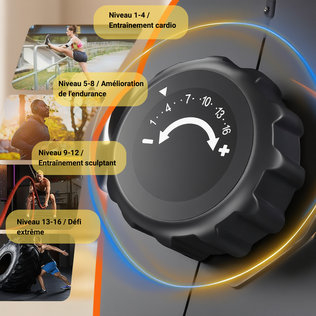Rameur Magnétique Silencieux – 16 Niveaux | L'atelier Cardio